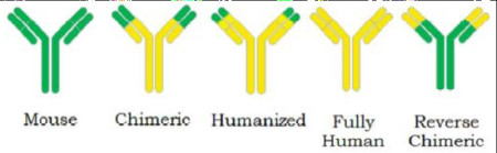 Regeneron-Claim1-murine-Ig