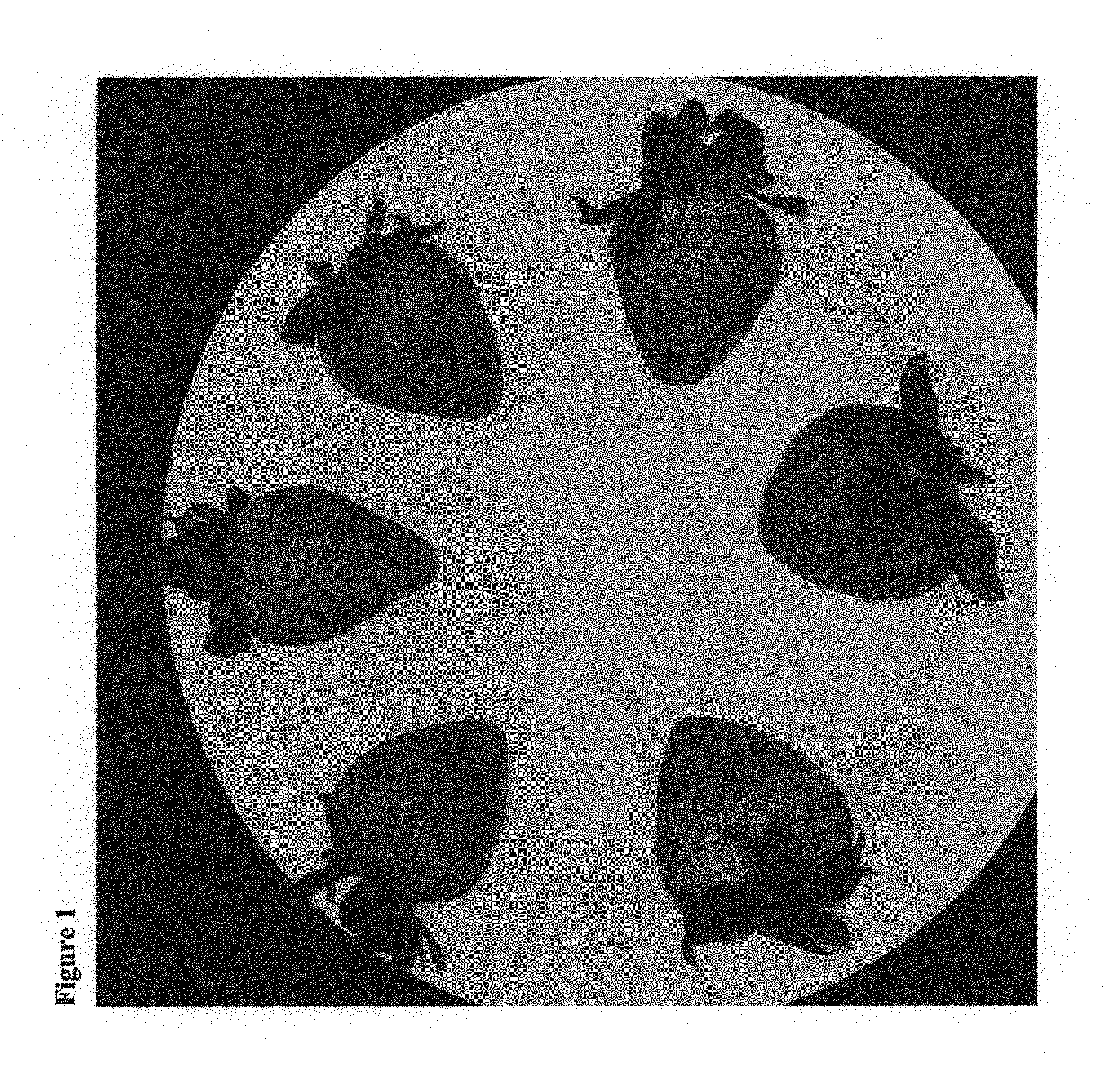 USPP29967-fig1