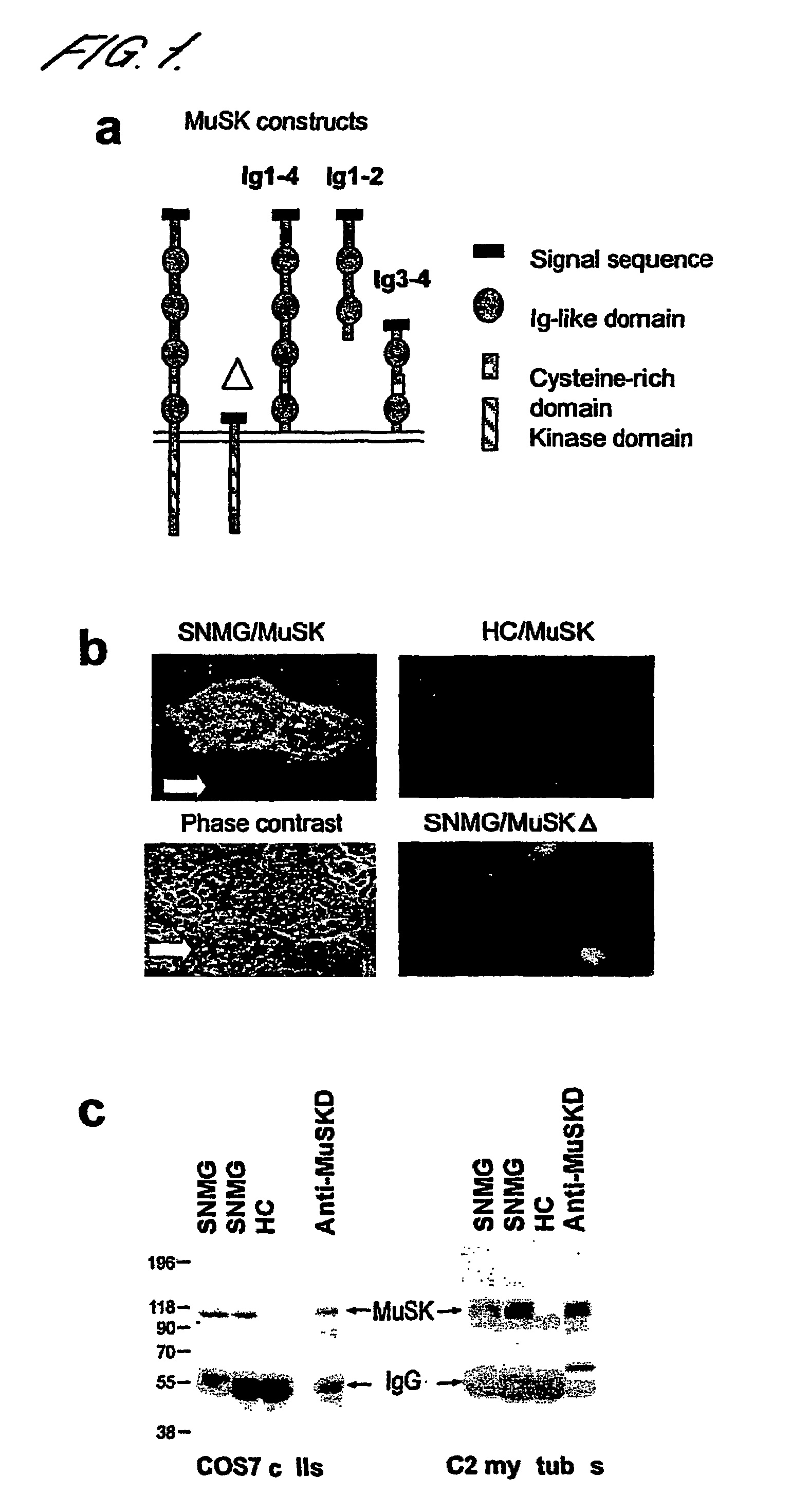 us7267820-fig1