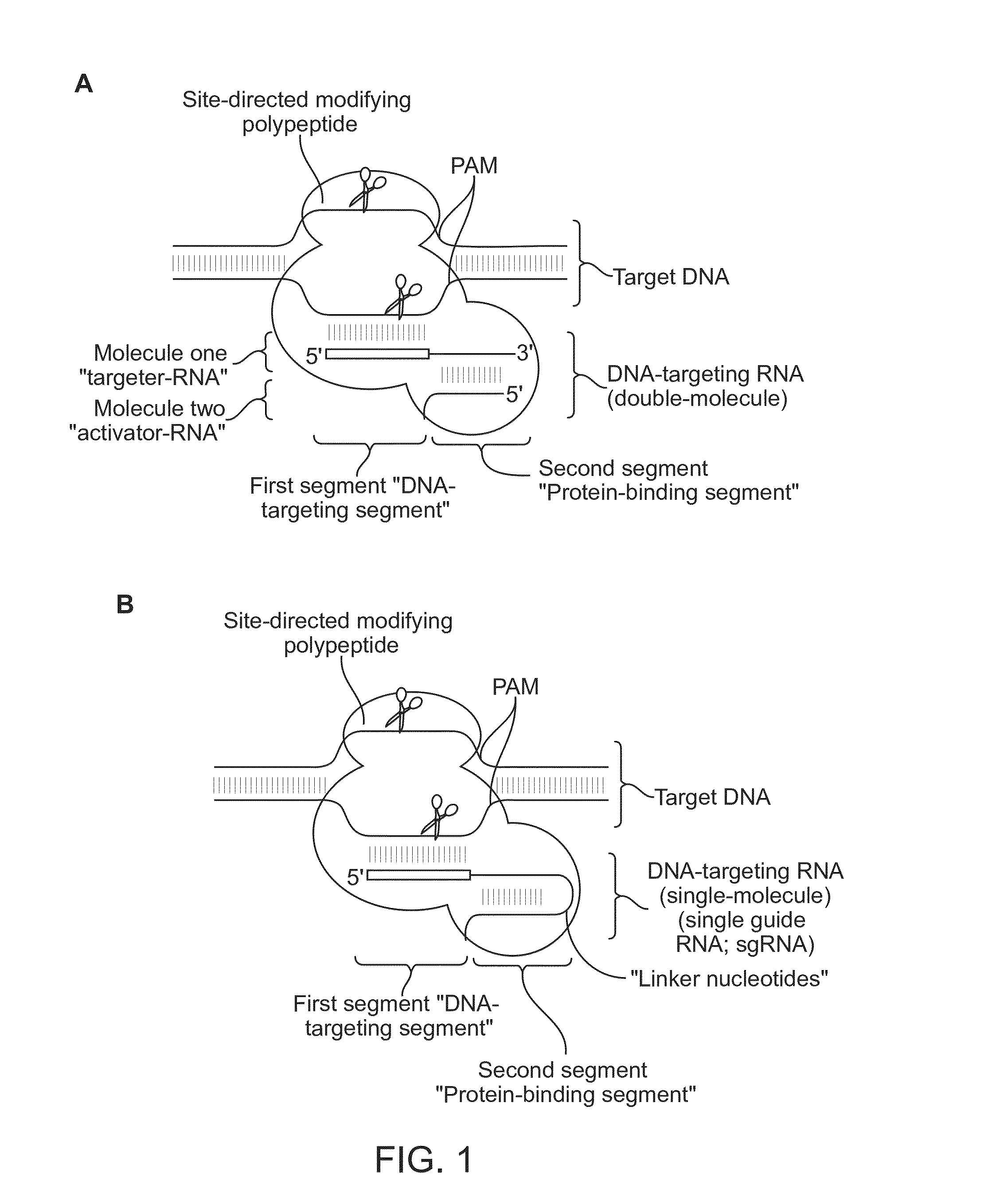 US10227611-fig1